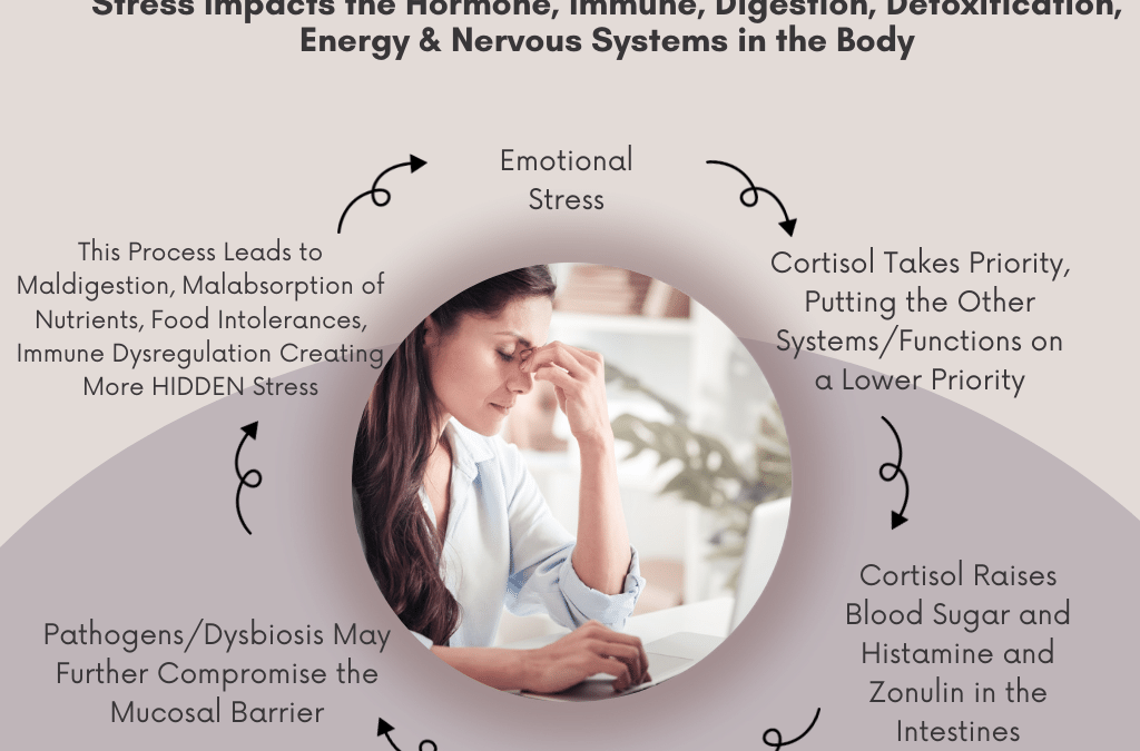 The Impact of Emotional Stress on the Body