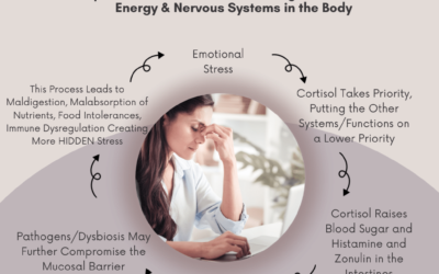 The Impact of Emotional Stress on the Body