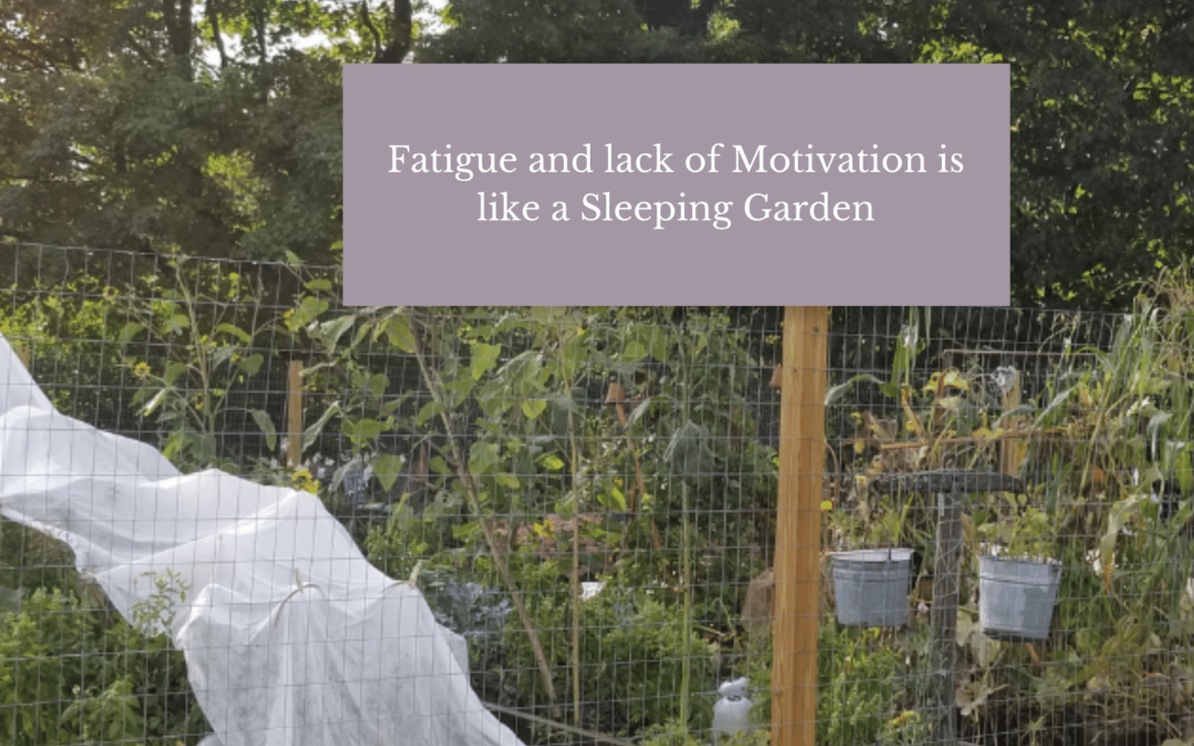 Fatigue Is Like a Sleeping Garden